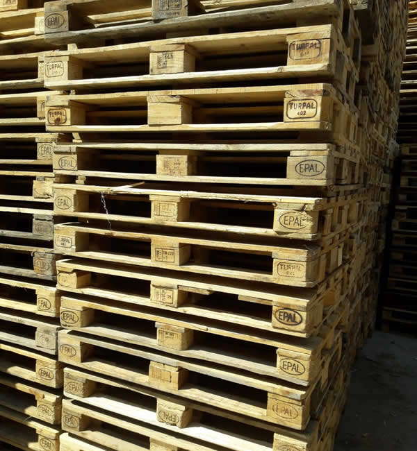 Ankara Palet Dünyası