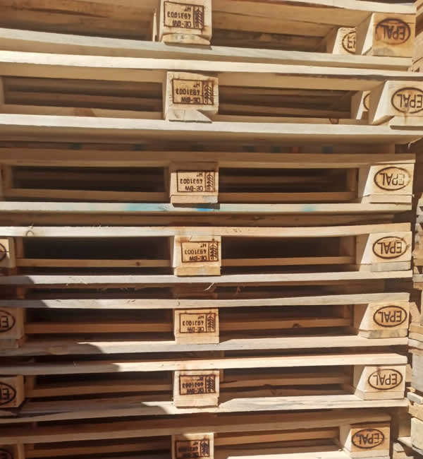 Ankara Palet Dünyası